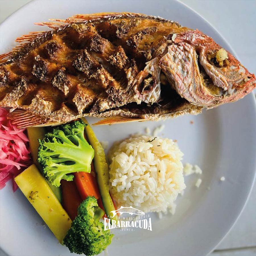 El Barracuda Beach Club Puerto Vallarta Beach Clubs