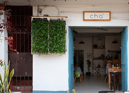 CHA'Restaurante Puerto Vallarta